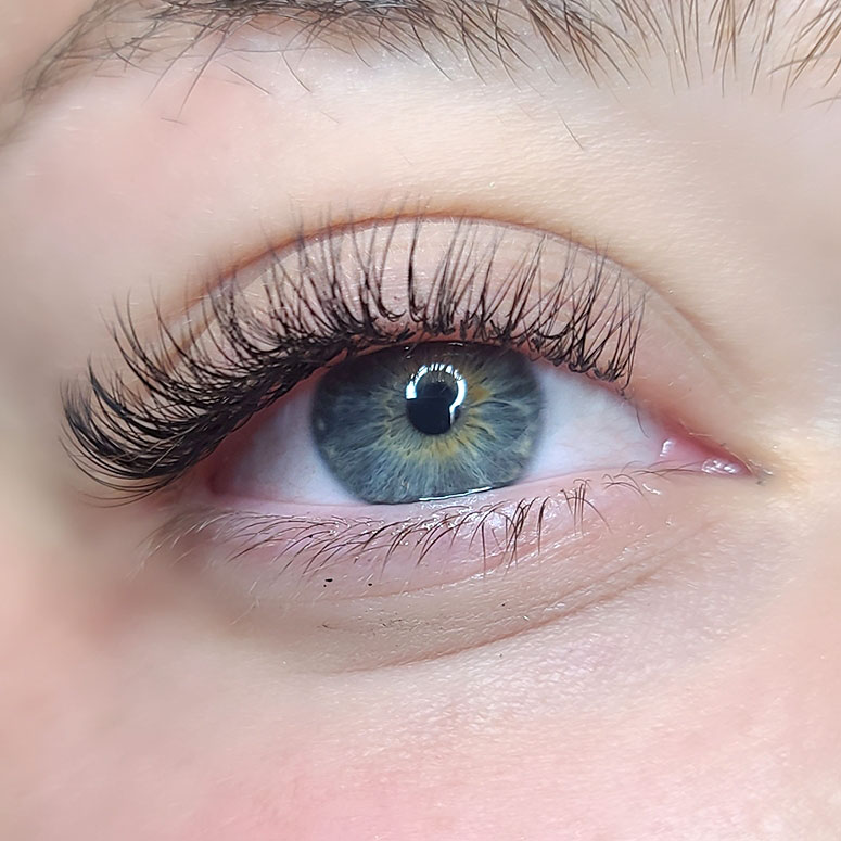 Classic Eyelash Extension Course Extension Training Englewood FL